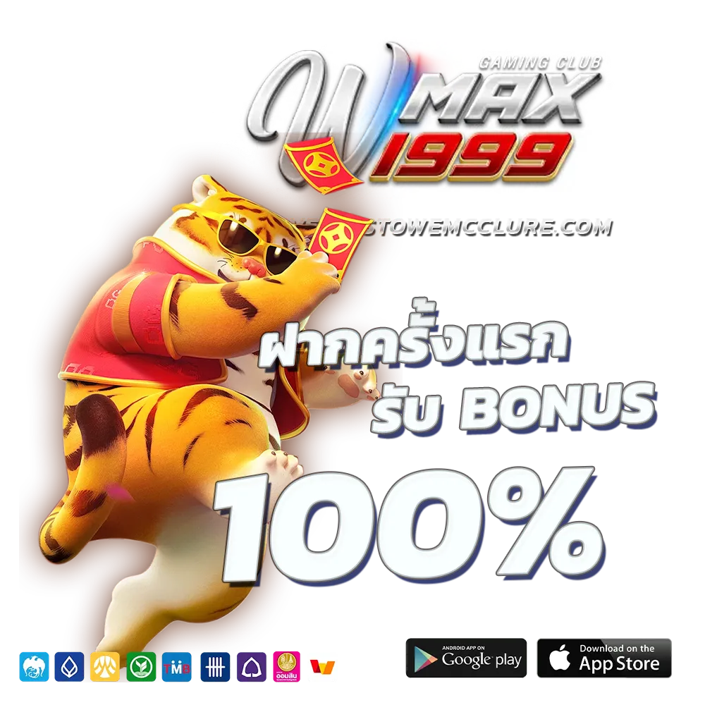 wmax1999